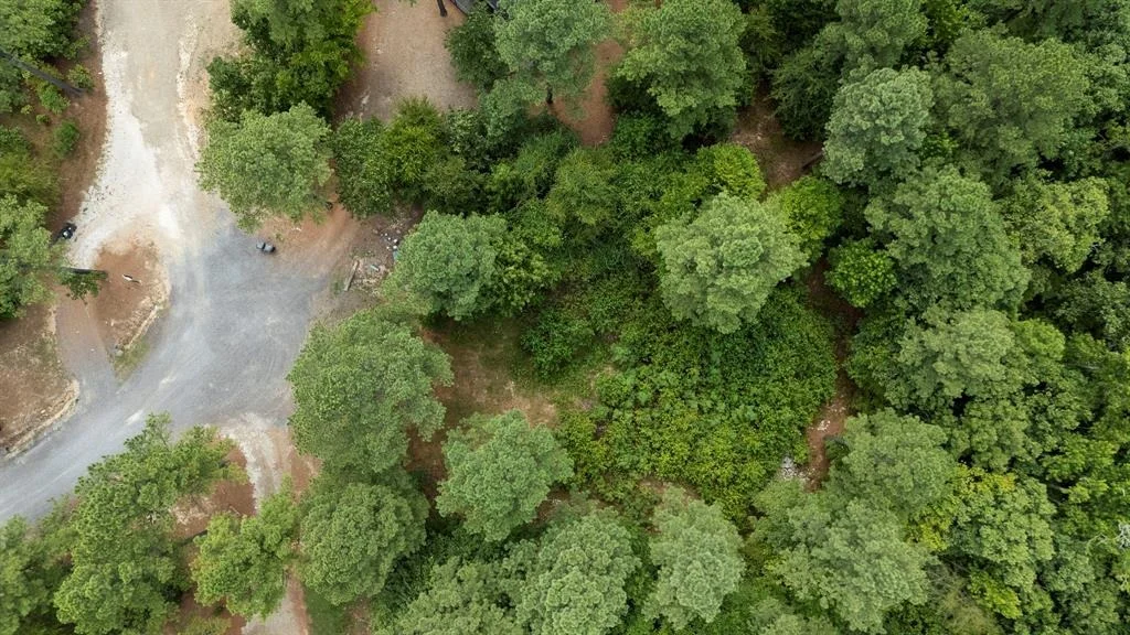 Photo of 179 Coffee Tree Trail