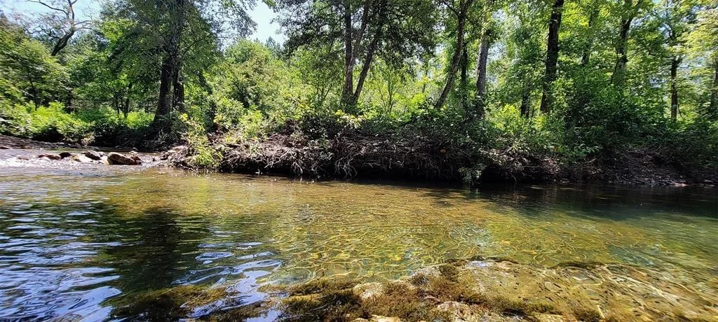 Photo of 74 Creek Side Trail