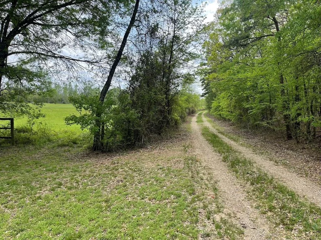 Photo of 260 Box Elder Lane