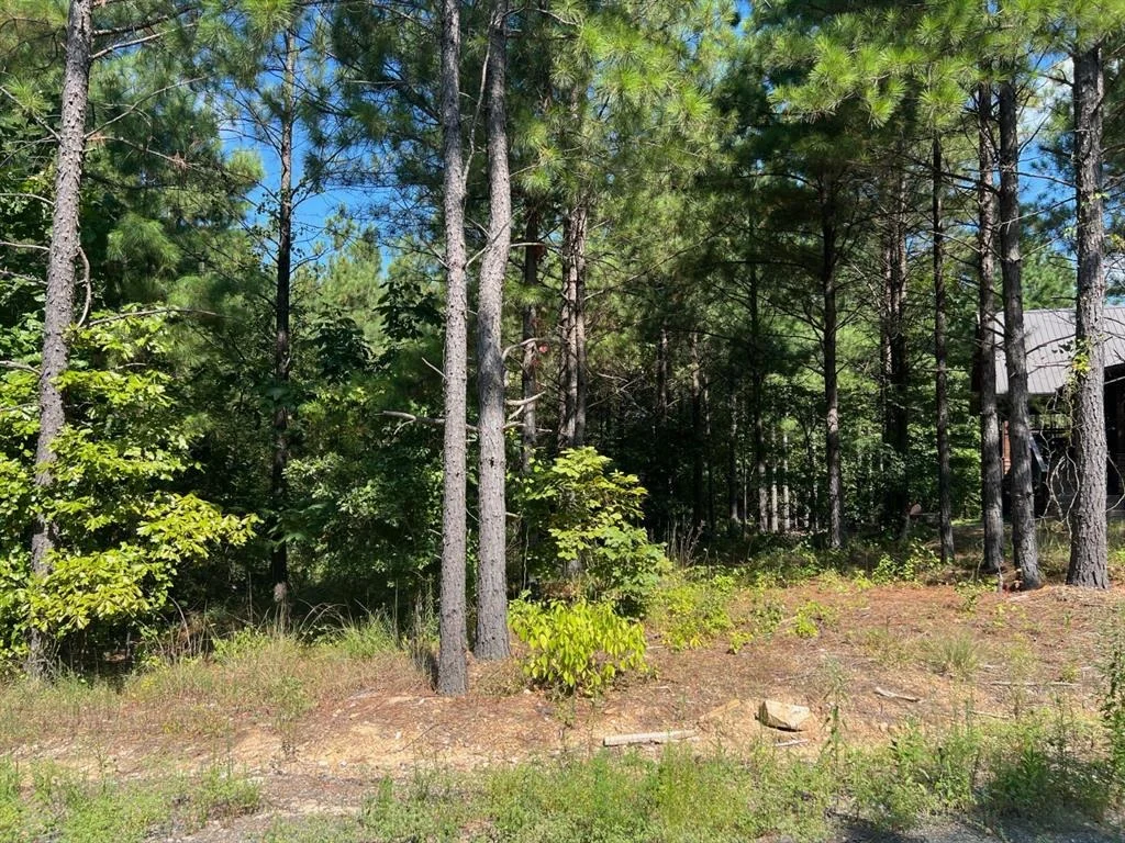 Photo of 53 Weathered Timber Trail