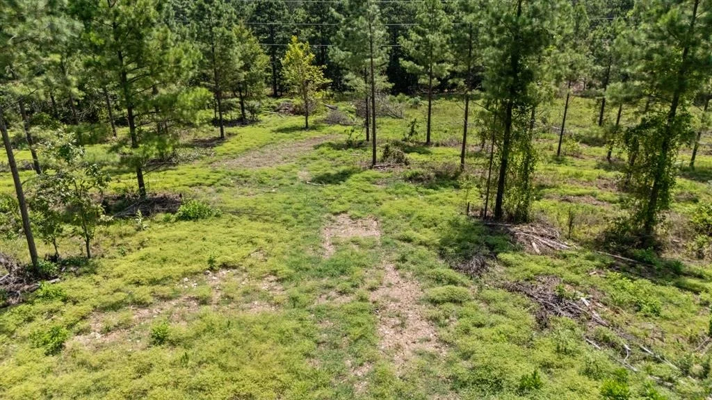 Photo of 1506 Paradise Valley Road