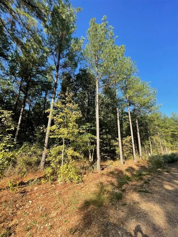 Photo of 758 Timber Creek Trails South XI