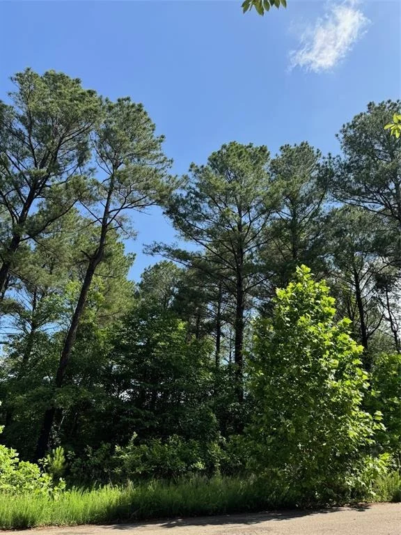Photo of 87 Blue Maple Trail