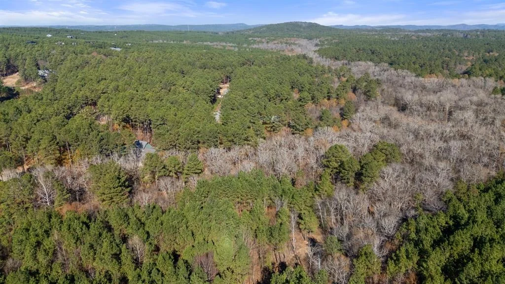 Photo of 323 Marked Pine Lane