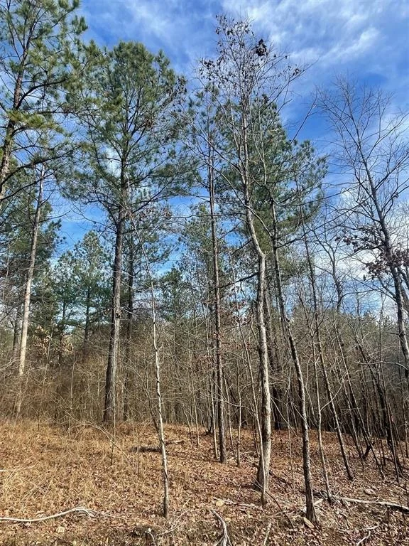 Photo of 729 Timber Creek Trails South XI