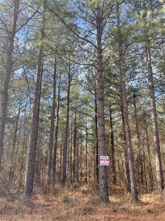 Photo of 762 Timber Creek Trails South XI