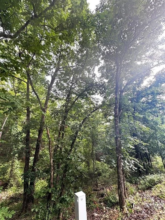 Photo of 132 Western CEDAR Trail