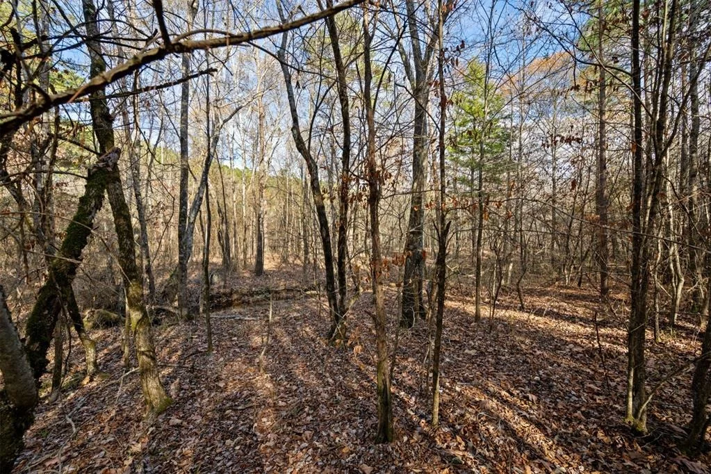 Photo of 315 Marked Pine Lane