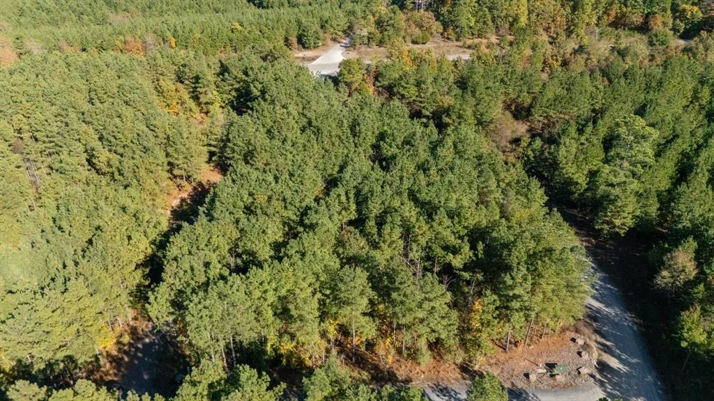 Photo of 24 Cedar Tree Trail