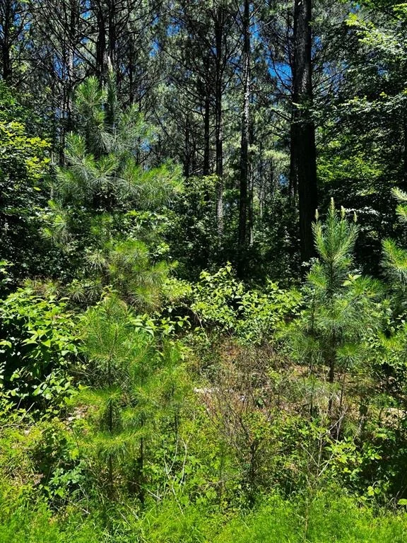 Photo of 83 Pleasant Cypress Trail