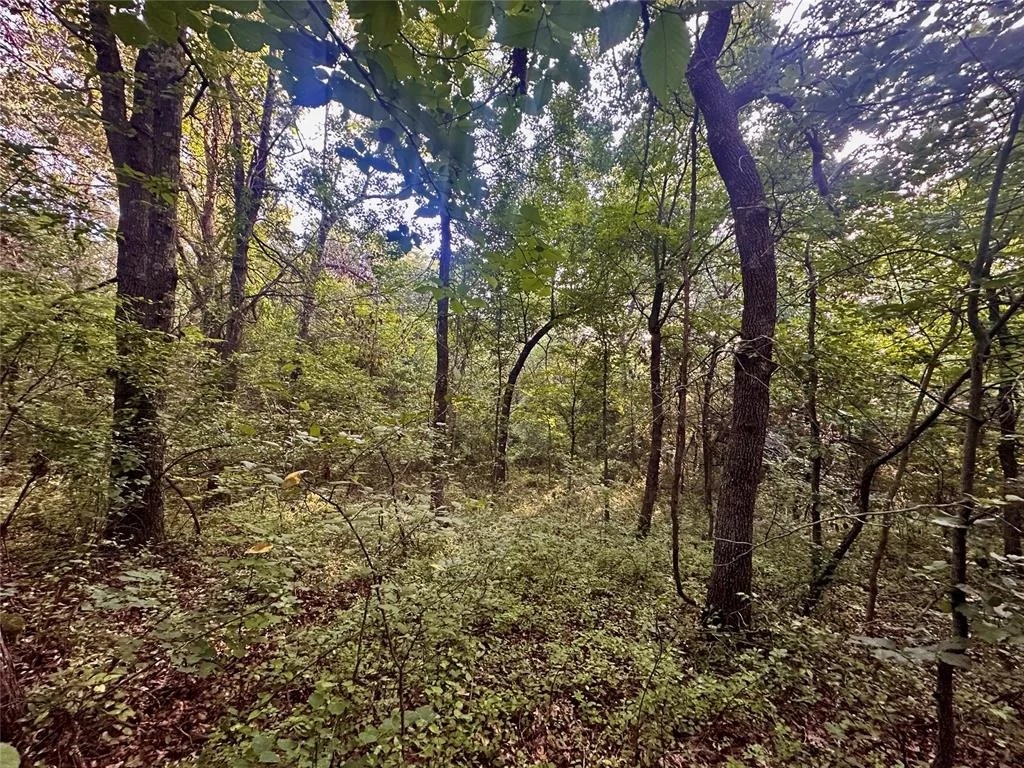 Photo of 52233 W 16 Highway