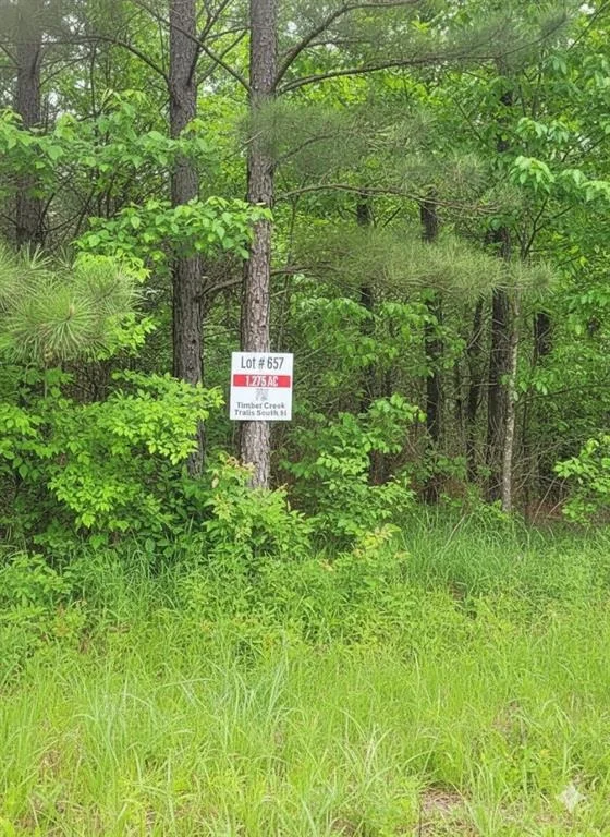 Photo of 657 Timber Creek Trails South XI