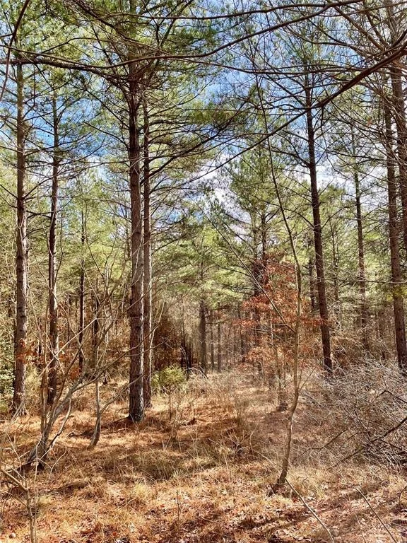 Photo of 766 Timber Creek Trails South XI