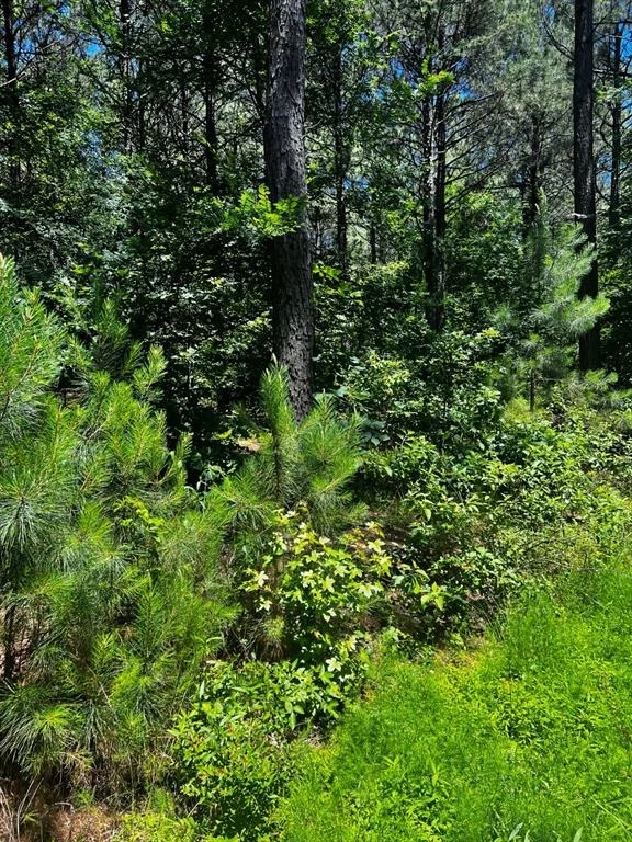 Photo of 83 Pleasant Cypress Trail