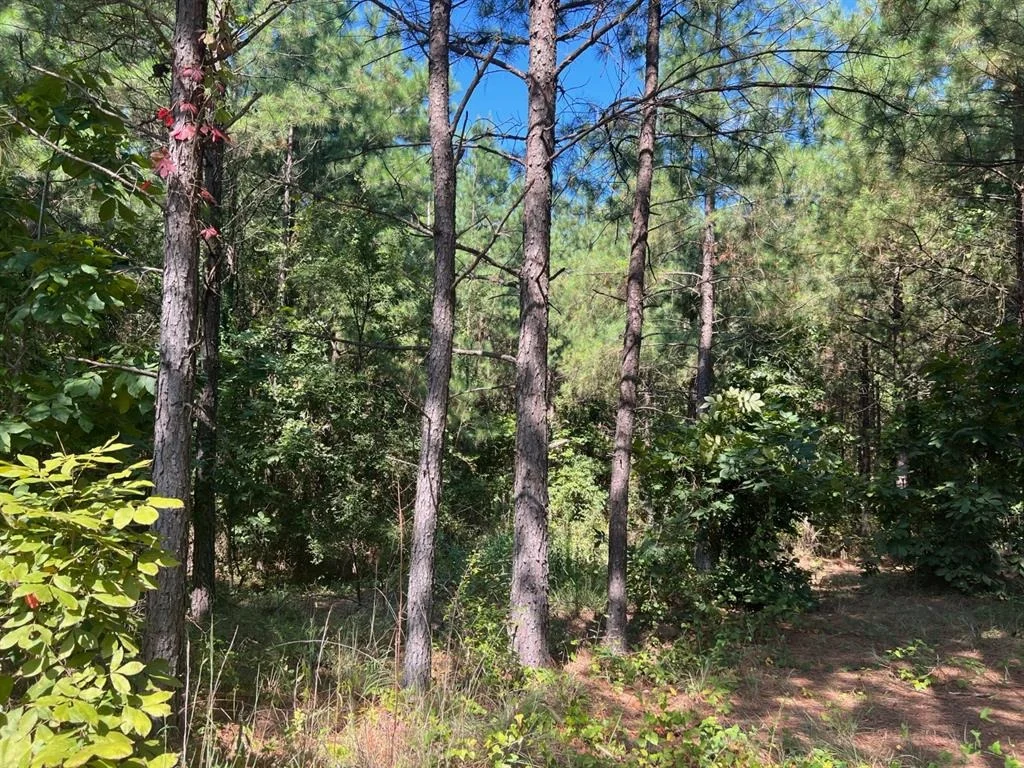 Photo of 53 Weathered Timber Trail