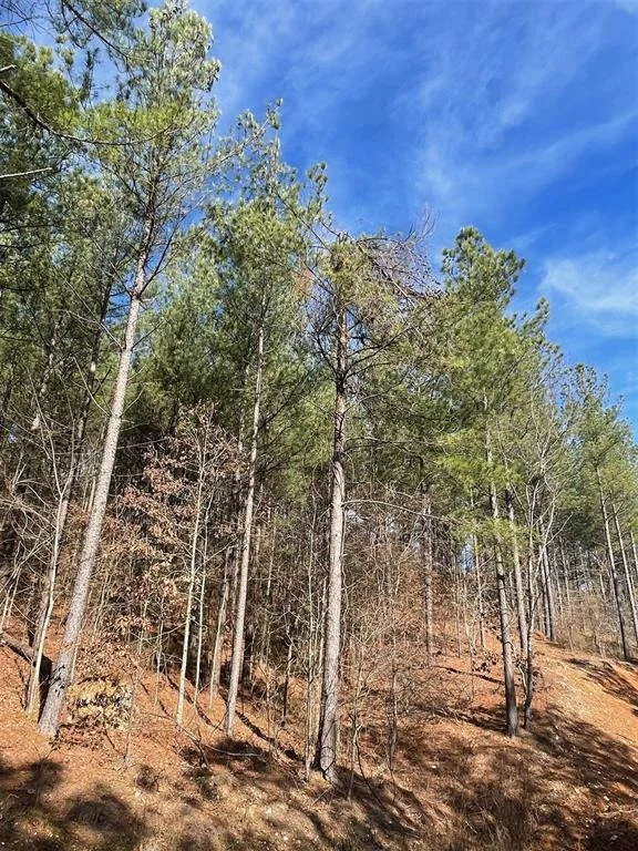 Photo of 776 Timber Creek Trails South XI