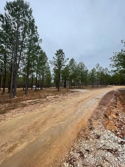 Photo of 609 Top Notch Road