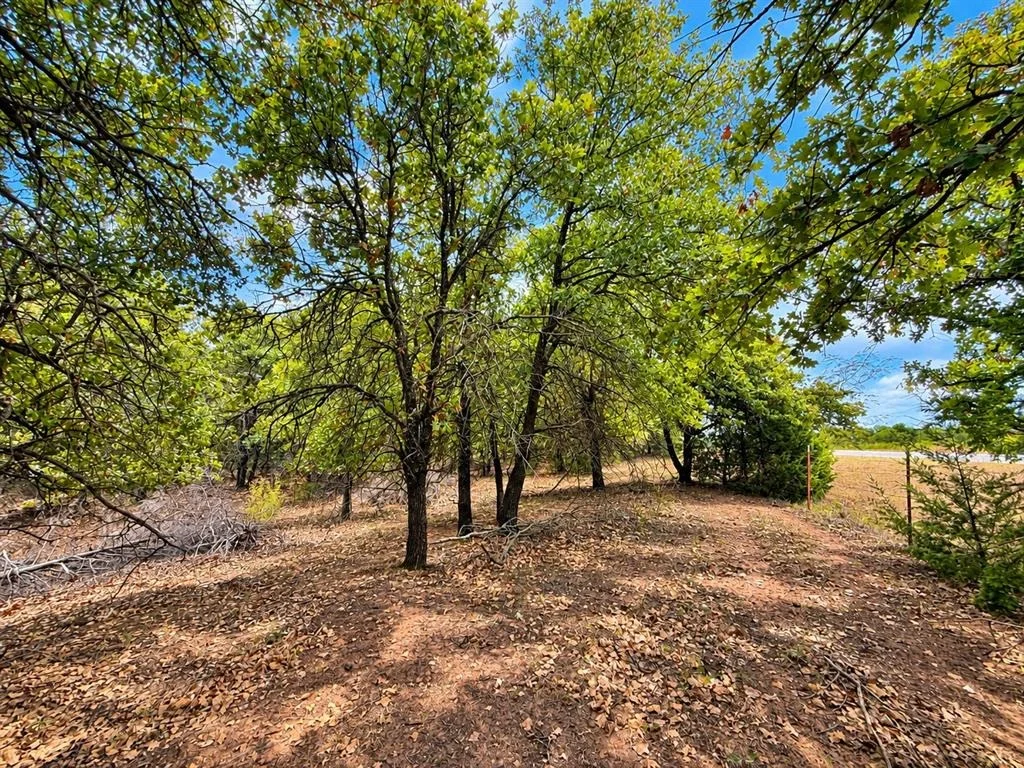 Photo of 15000 Hogback Road