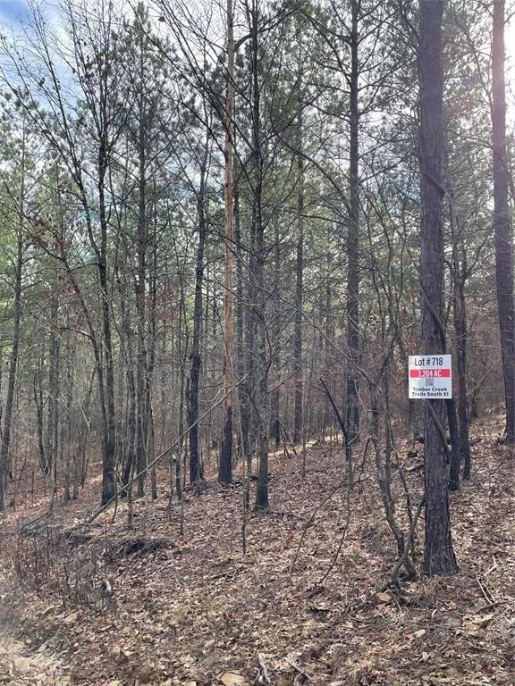 Photo of 718 Timber Creek Trails South XI