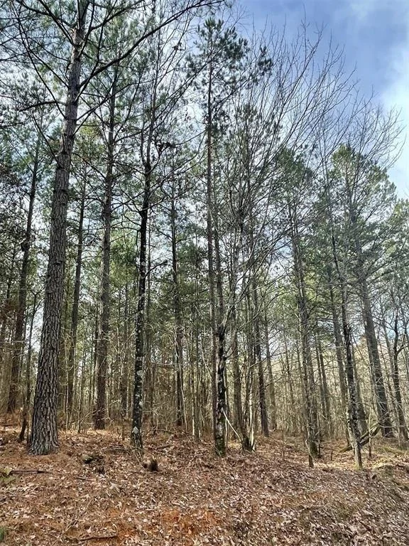 Photo of 739 Timber Creek Trails South XI