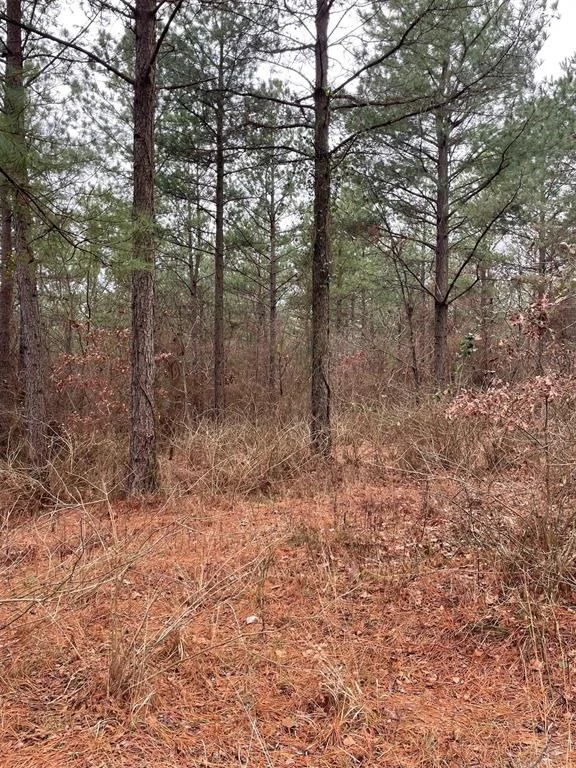 Photo of 700 Timber Creek Trails South XI