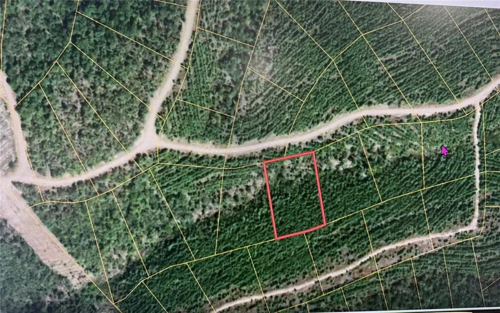 Photo of 836 Timberline Trail