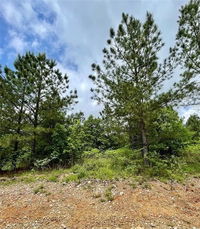 Photo of 682 Timber Creek Trails South XI