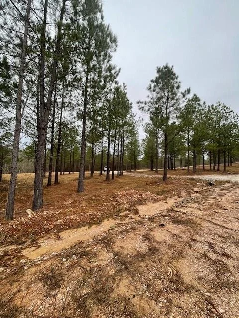 Photo of 609 Top Notch Road