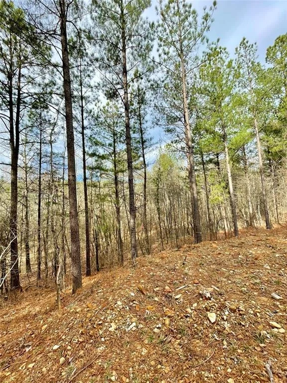 Photo of 737 Timber Creek Trails South XI