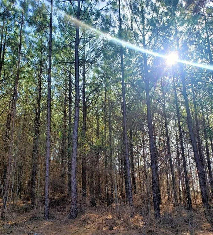 Photo of 735 Timber Creek Trails South XI