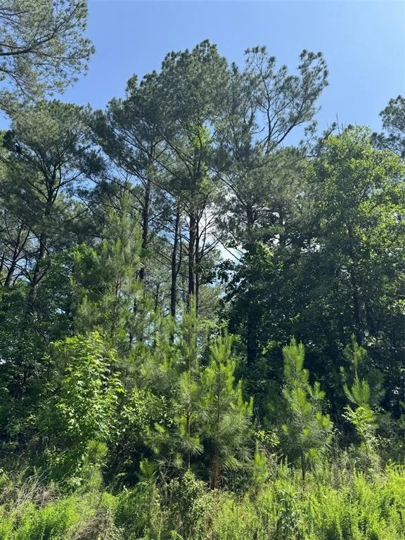 Photo of 49 Blue Maple Trail
