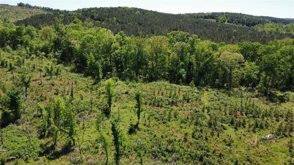 Photo of 71 Woodland Ridge Trail