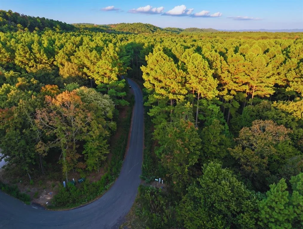 Photo of 52 Western Pine Trail