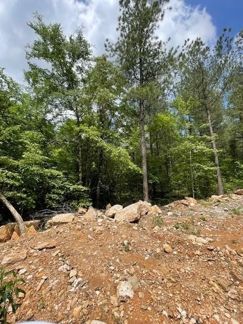 Photo of 705 Timber Creek Trails South XI
