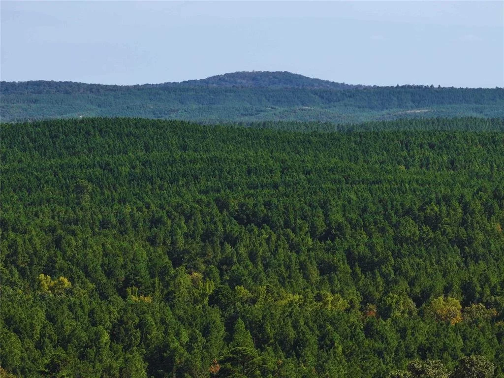 Photo of 32 Wayward Pine Trl Trail