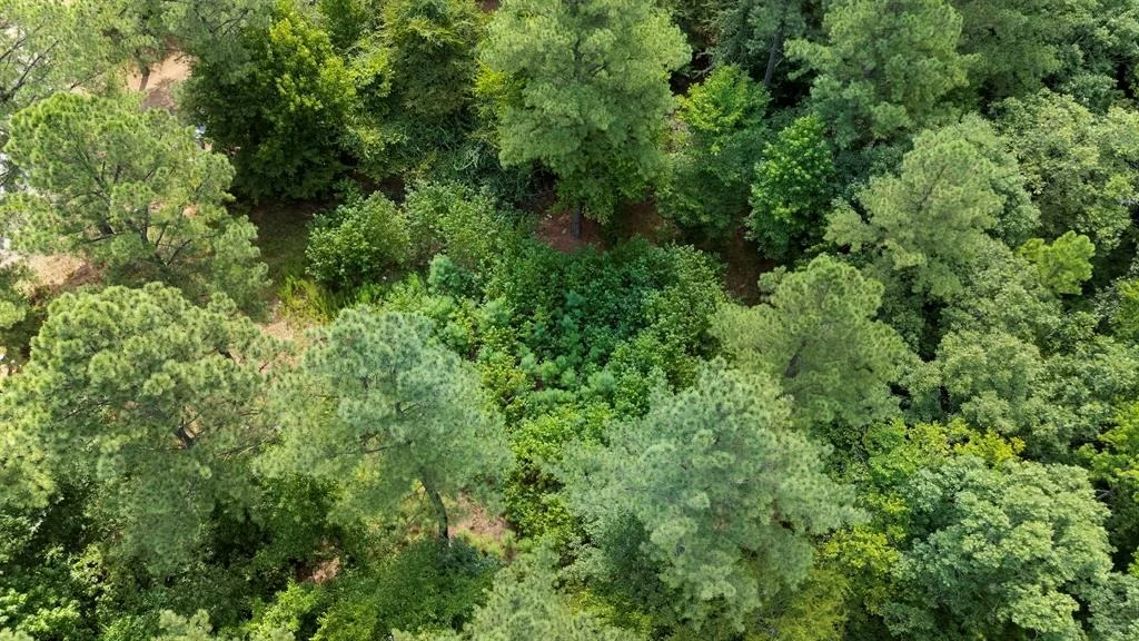Photo of 179 Coffee Tree Trail