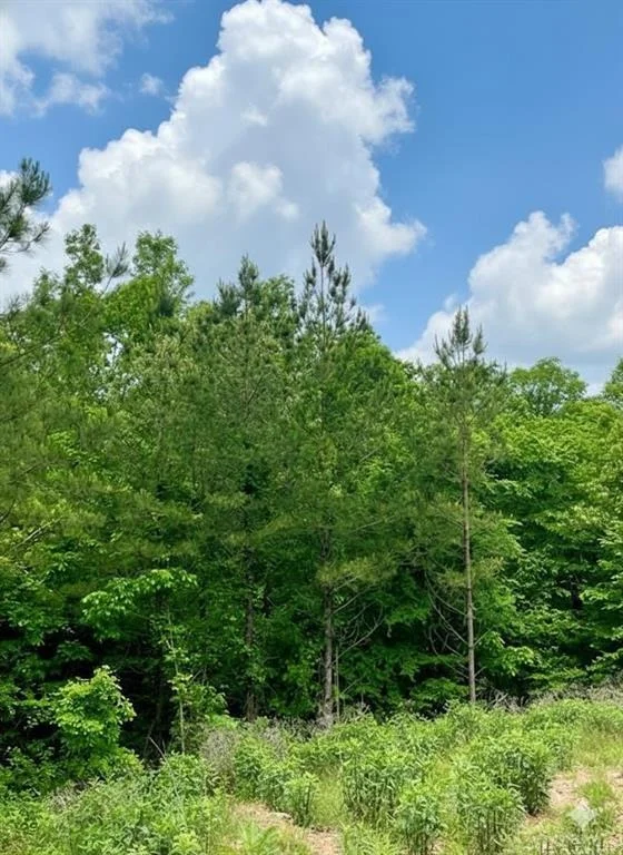 Photo of 656 Timber Creek Trails South XI