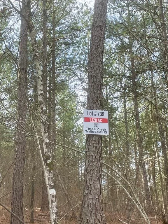 Photo of 739 Timber Creek Trails South XI