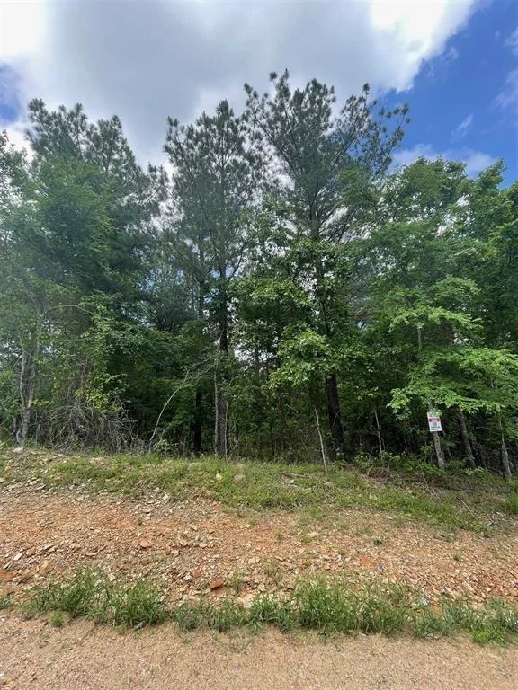 Photo of 711 Timber Creek Trails South XI