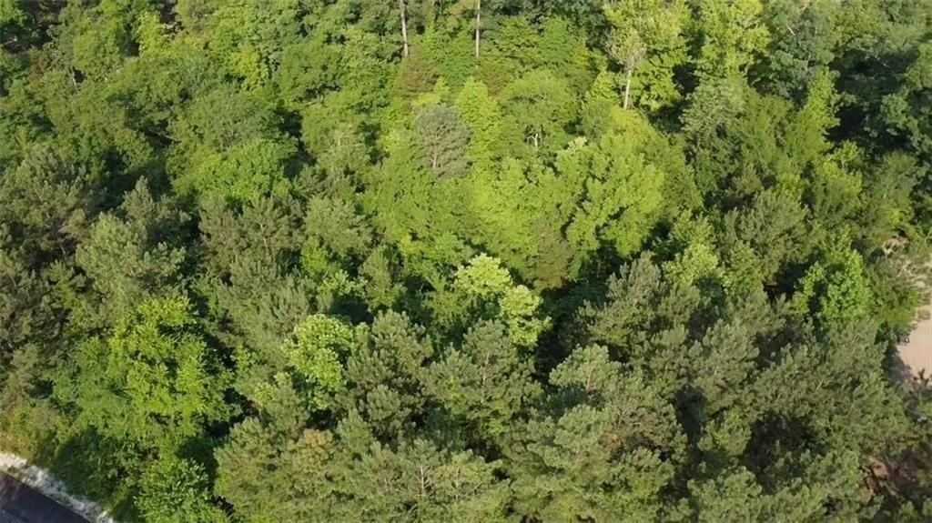 Photo of 74 Creek Side Trail