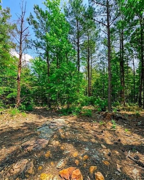 Photo of 122 Southern Locust Trail