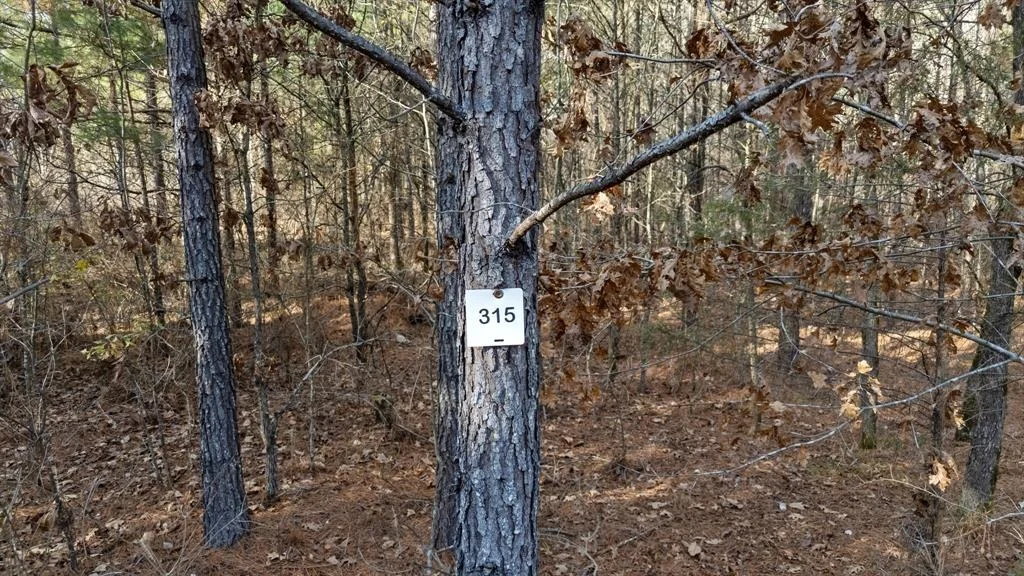 Photo of 315 Marked Pine Lane