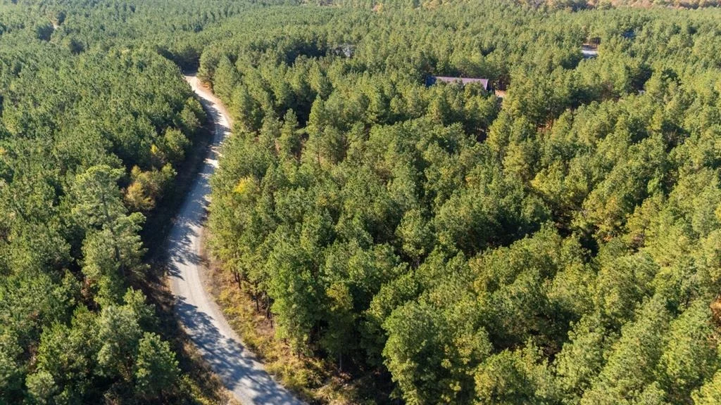 Photo of 24 Cedar Tree Trail