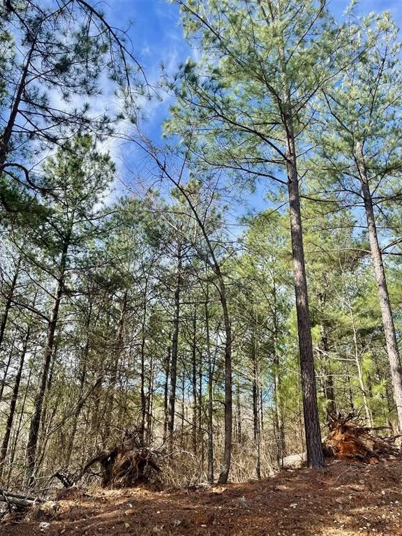 Photo of 764 Timber Creek Trails South XI