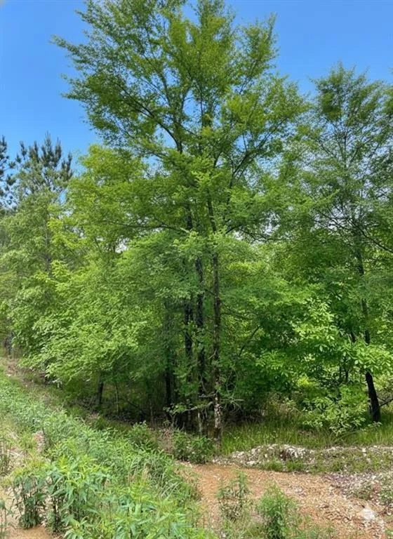 Photo of 662 Timber Creek Trails South XI