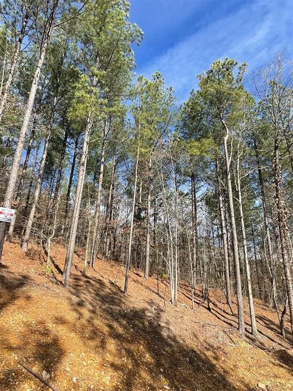 Photo of 775 Timber Creek Trails South XI