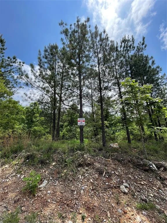 Photo of 676 Timber Creek Trails South XI