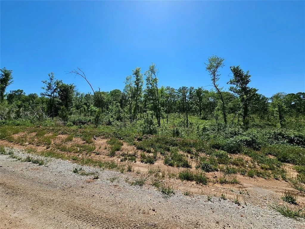 Photo of 71 Woodland Ridge Trail