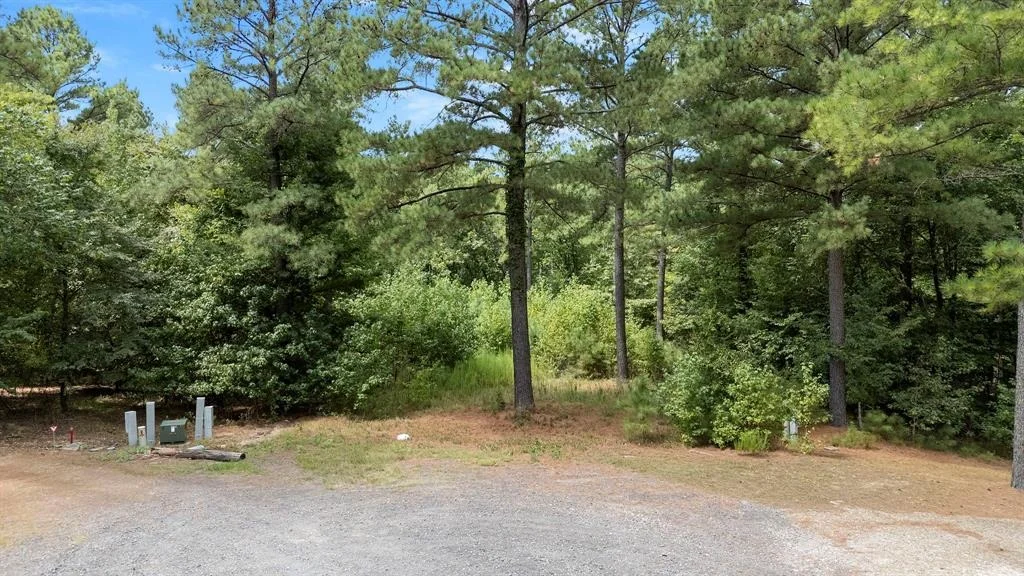 Photo of 179 Coffee Tree Trail