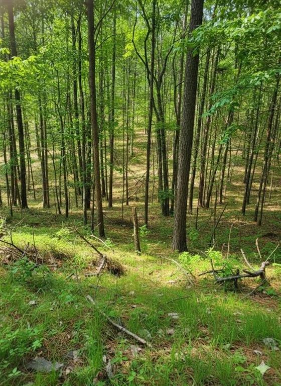 Photo of 778 Timber Creek Trail South XI